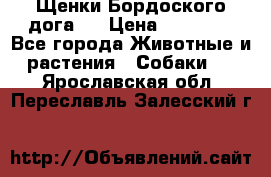 Щенки Бордоского дога.  › Цена ­ 30 000 - Все города Животные и растения » Собаки   . Ярославская обл.,Переславль-Залесский г.